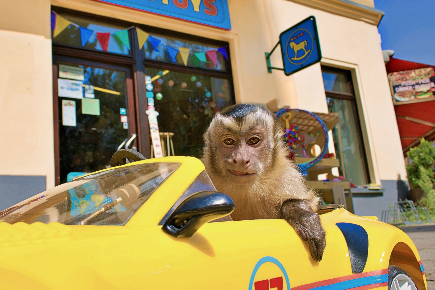 Akiko, the flying monkey (2024)